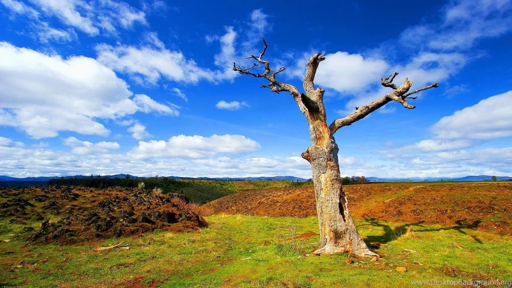 Nice Wallpapers For Desktop   Wallpapers Cave