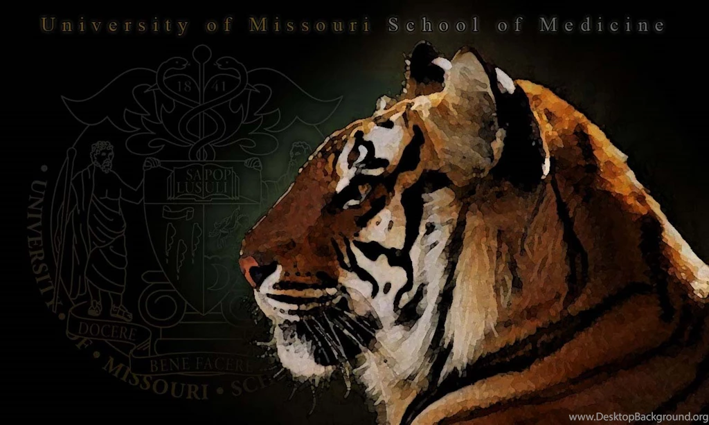 University Of Missouri School Of Medicine Multimedia Image ...