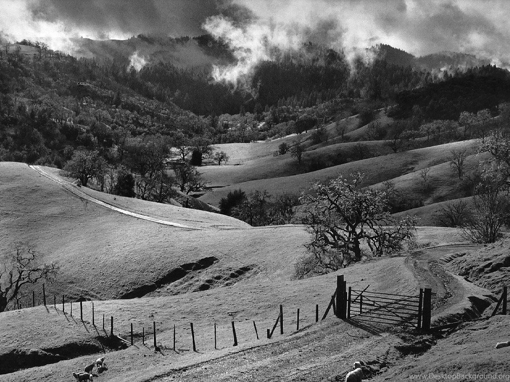 ANSEL ADAMS' World On Pinterest