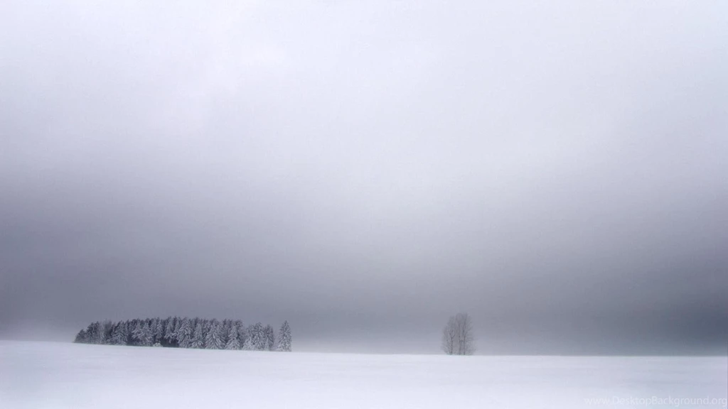 Snow Winter Nature Snow Storm Storm HD Wallpapers, Desktop ...