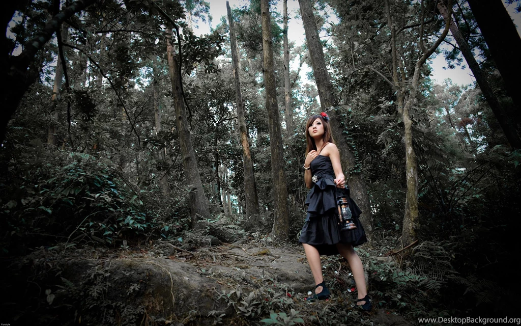 Forest Fashion Photography, Resolution, High, Hanuman, 2560x1600 ...