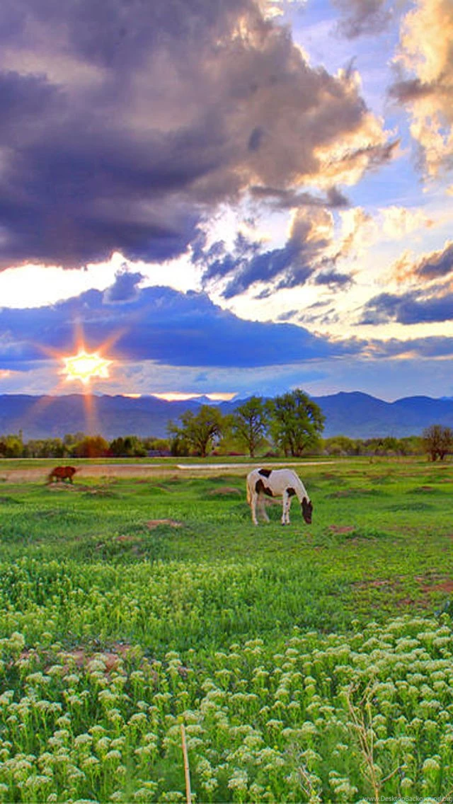 Wallpapershdview.com: HD Wallpapers Nature Sunset For iPhone 5s