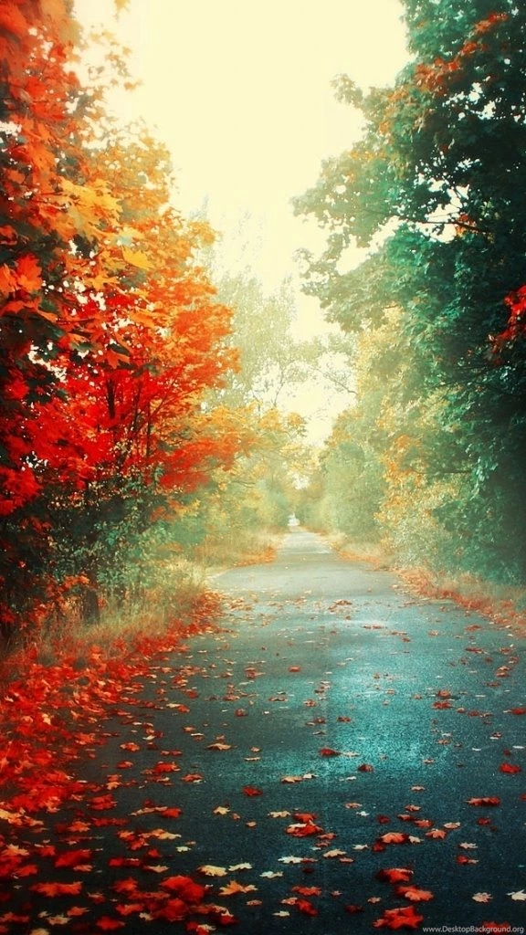 50 Most Demanding Retina Ready Iphone 5 Wallpapers Hd Amp ...