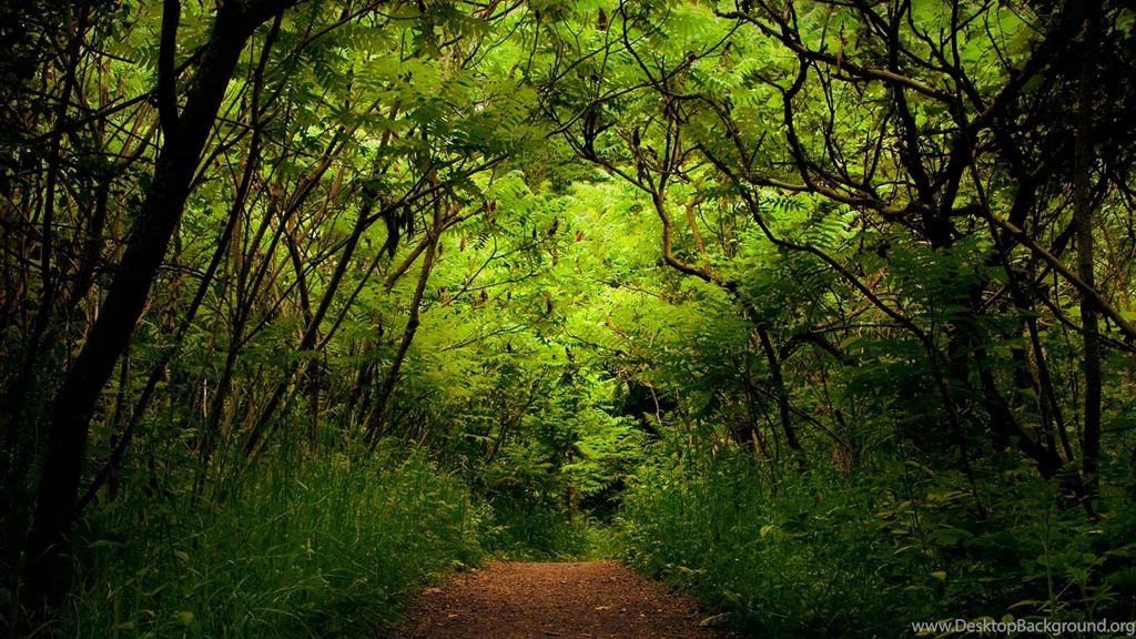 Landscape High Resolution 10 Wallpapers