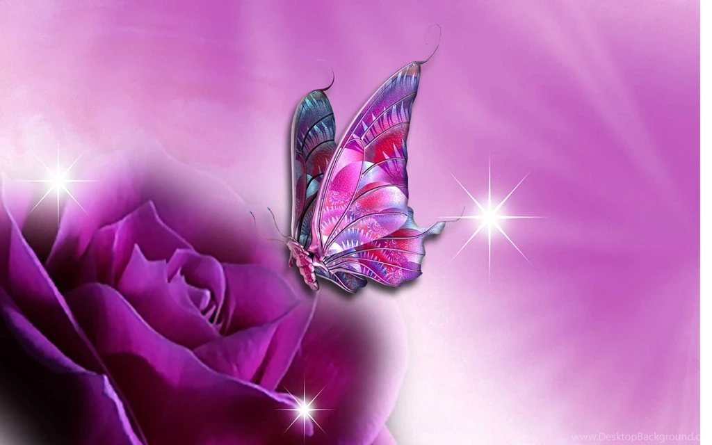 BEAUTIFUL WALLPAPER OF BUTTERFLY Walleo.co