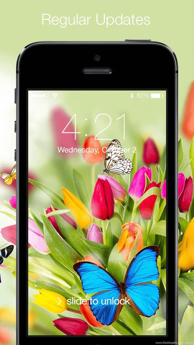 Beautiful Butterfly Wallpapers & Backgrounds   Black, Blue, White ...