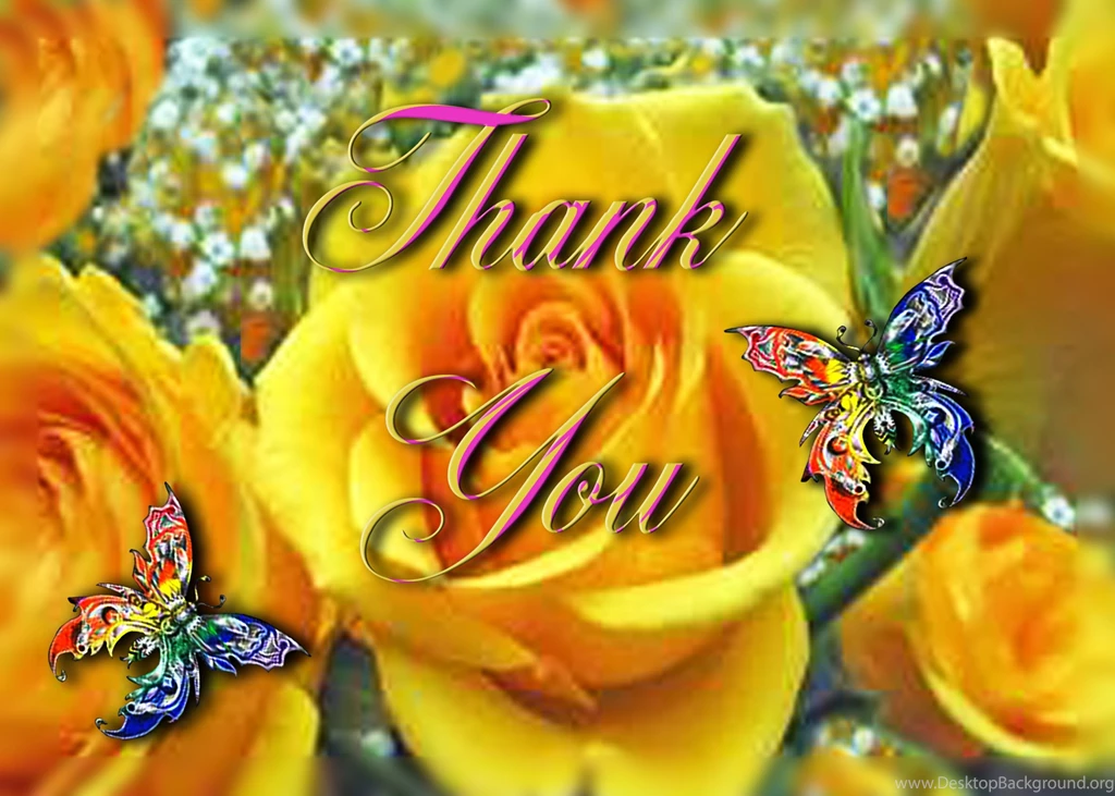 Yellow Roses Wallpapers HD (28)