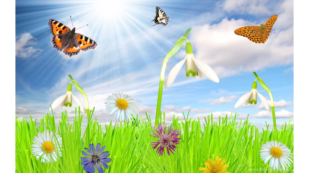 Kids Spring 4K Wallpapers