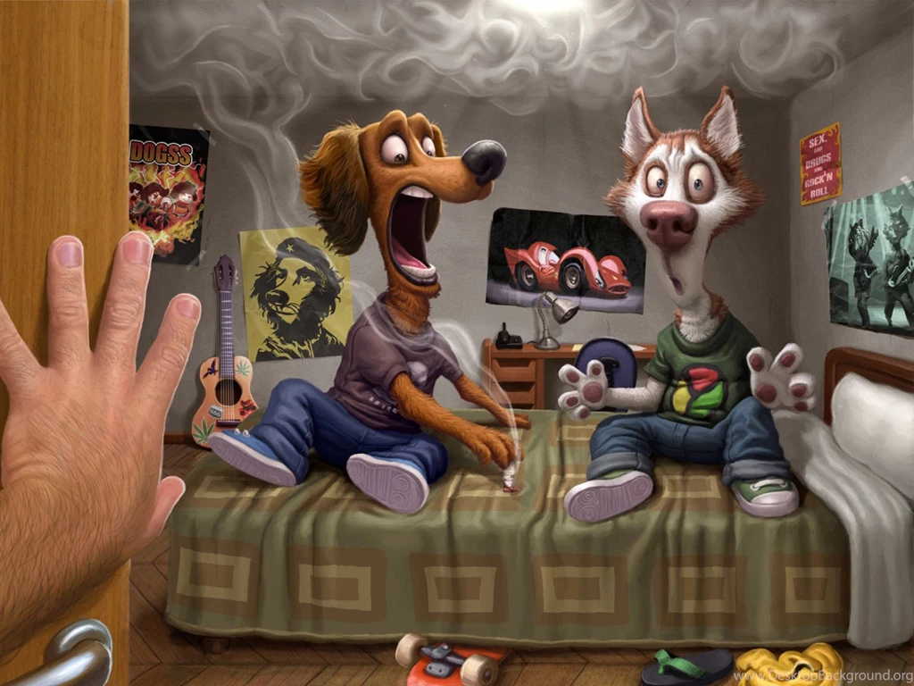 Funny PC Wallpaper Images Photos   FynnEXP