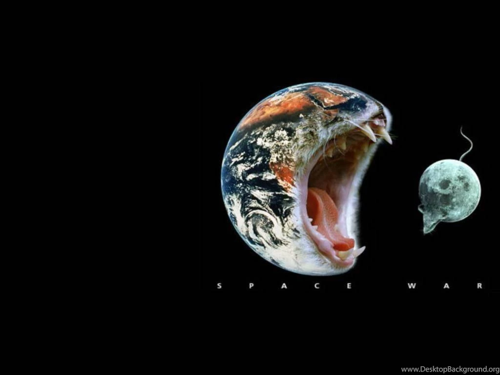 Funny Pictures, Funny Photo Wallpapers, PC Wallpapers, Funny ...