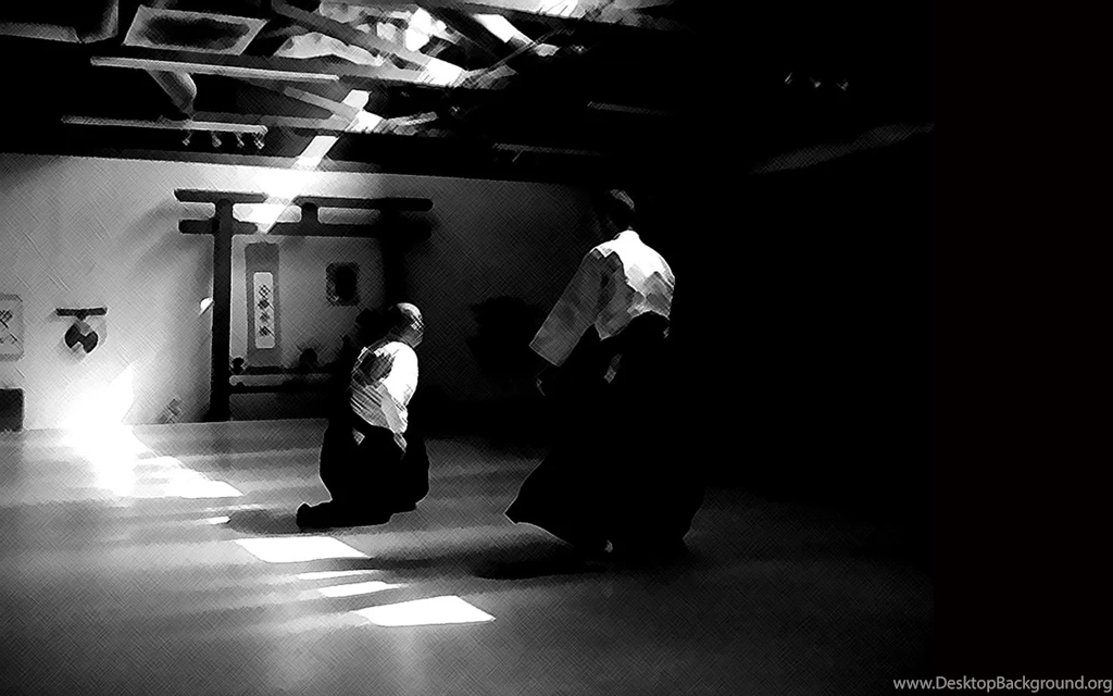 Aikido Desktop Wallpapers (1600 X 1000)