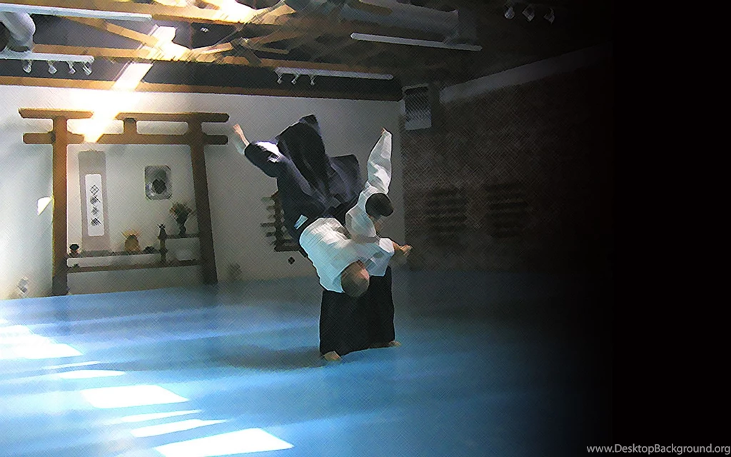 Aikido Wallpapers   Wallpapers Cave