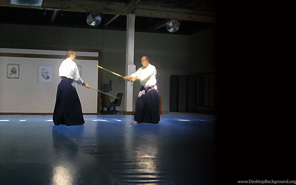Aikido Desktop Wallpapers (1600 X 1000)