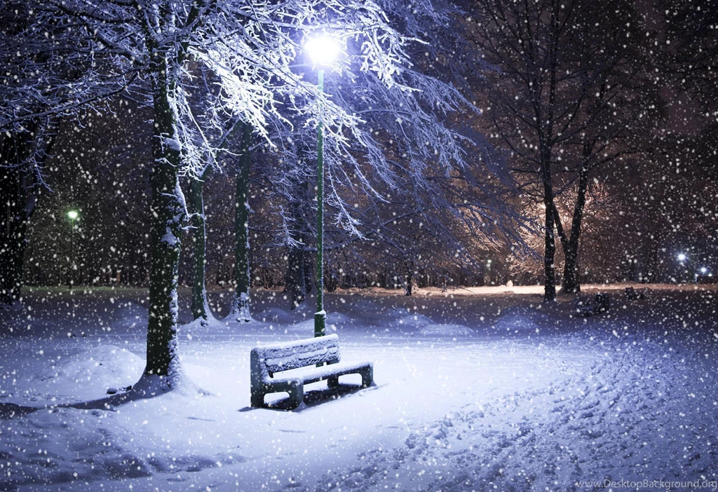 Winter Snow Night Shop Trees Park Lantern