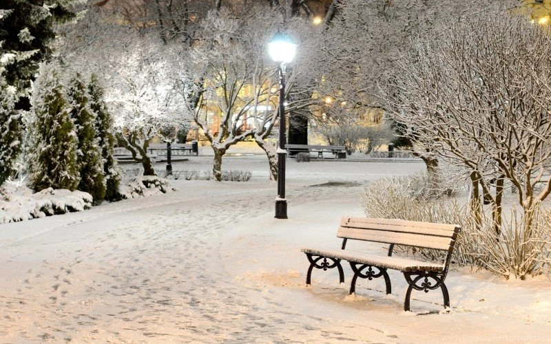 Snowy Park Night Wallpapers