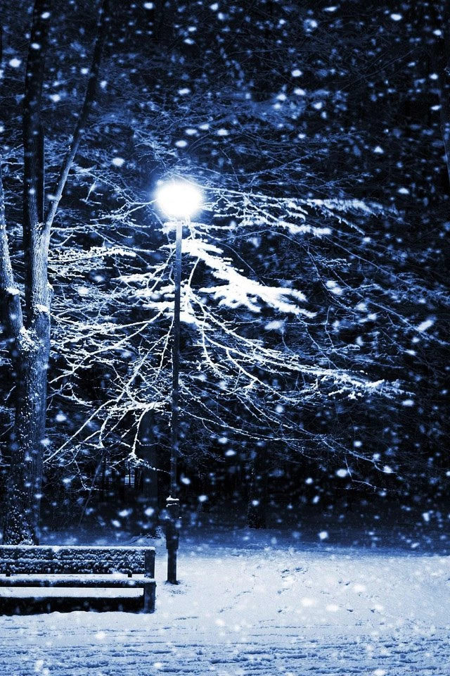 Snow Night Park iPhone 4s Wallpapers Download