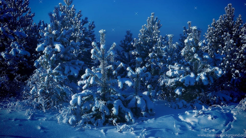 Download Wallpapers 3840x2160 Stars, Pines, Snow, Night 4K Ultra HD ...