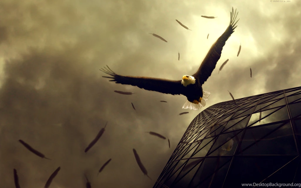 Eagle Wallpapers Collection (37+)