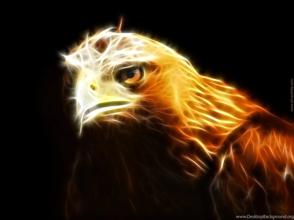 Eagle Hd Wallpapers 10171 Hd Wallpapers In Animals Imagescicom ...