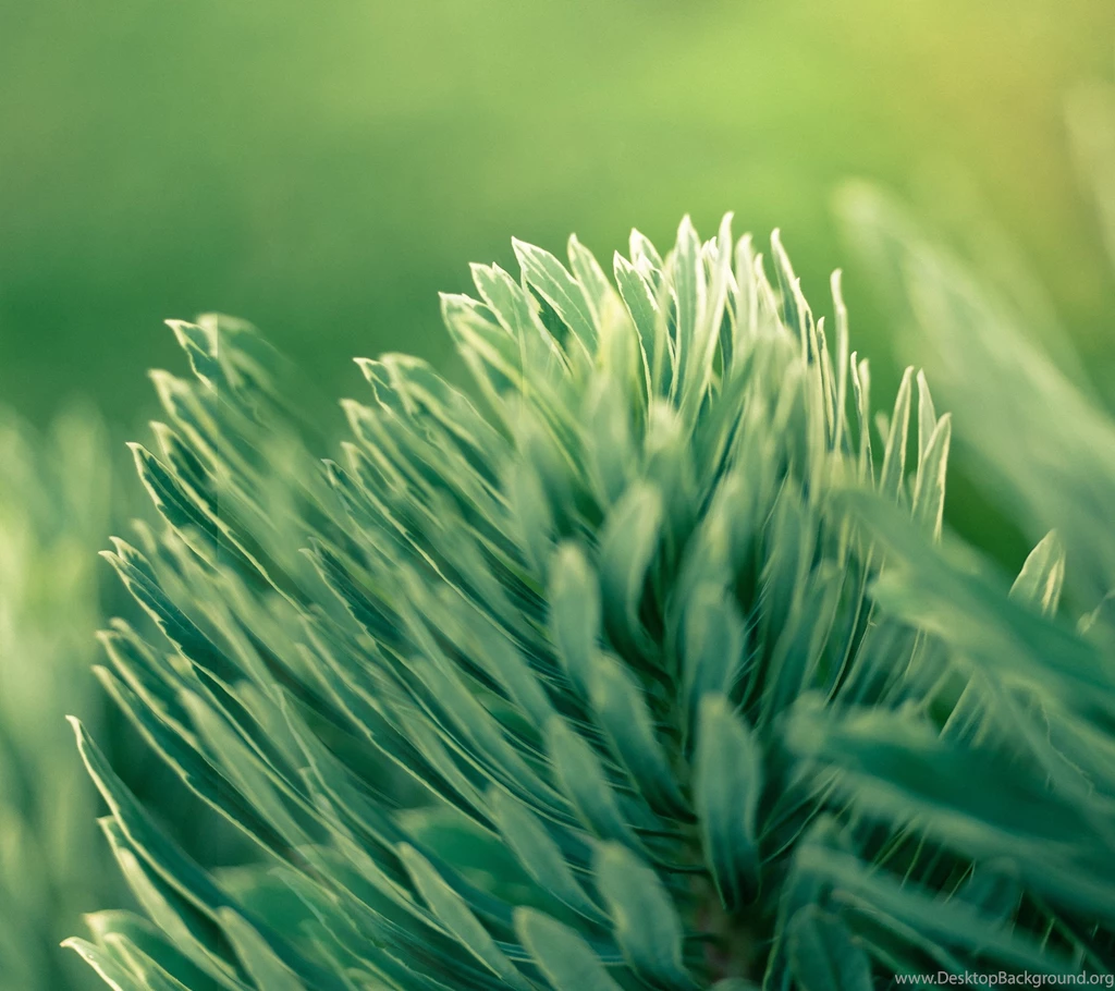 HTC One M8 2014 Stock Wallpapers