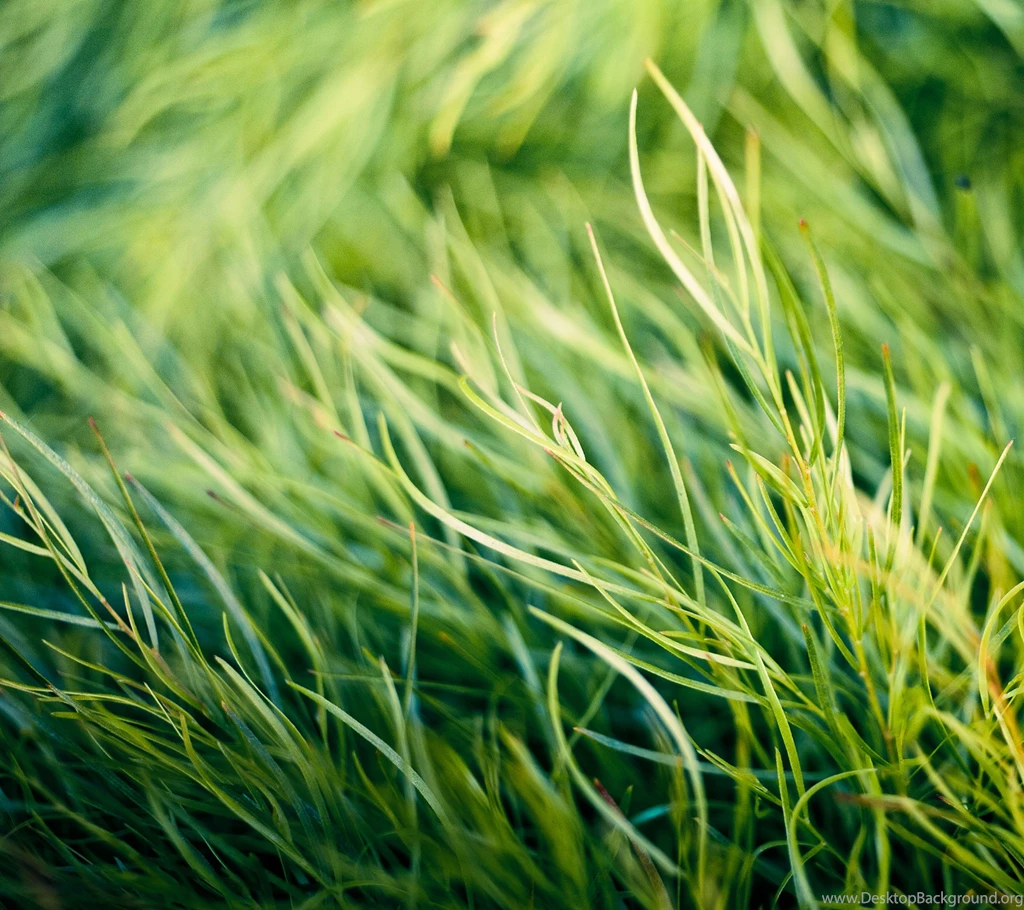 Download HTC M8 Official Wallpapers