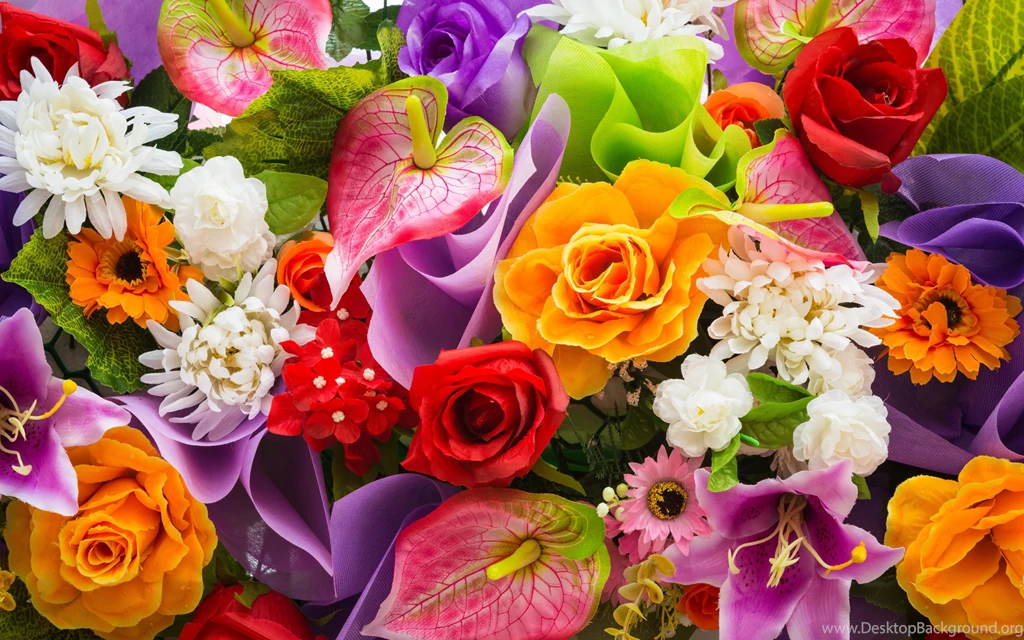 Colorful Flowers Wallpapers HD