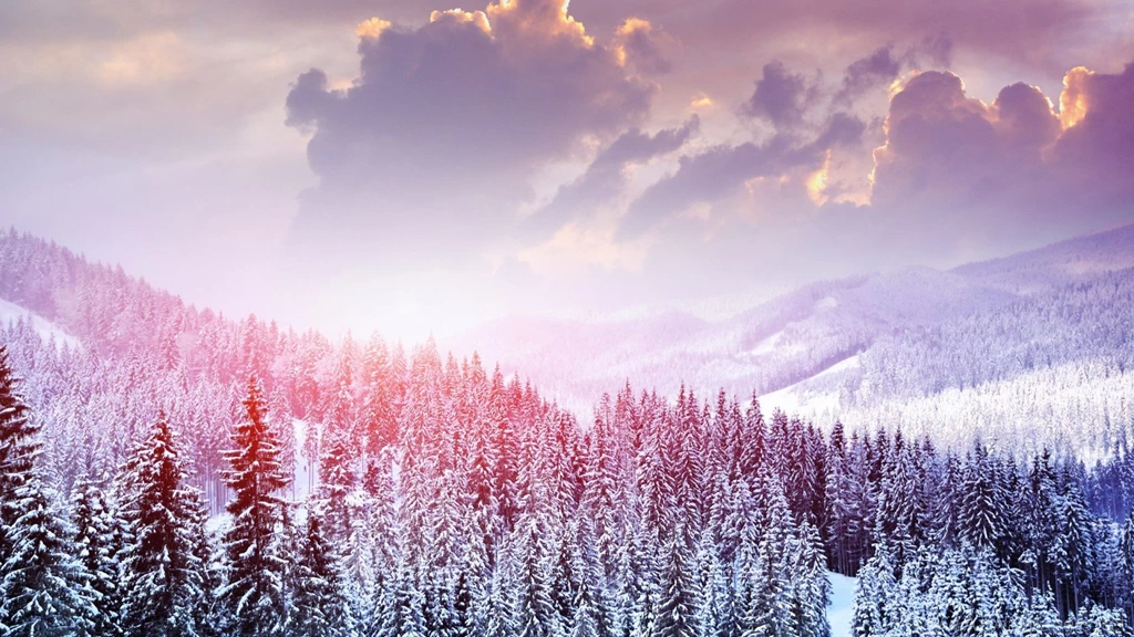 Winter Landscape Of Snow Forest Wallpapers HD Download