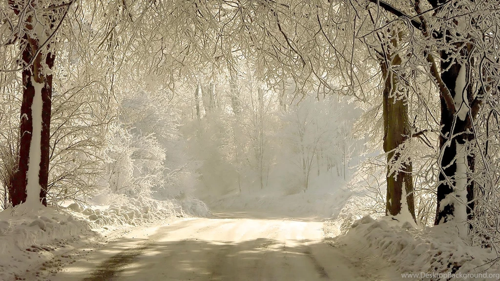 1080x1920 Snow Mountains Sky Forest Road Htc One Wallpapers