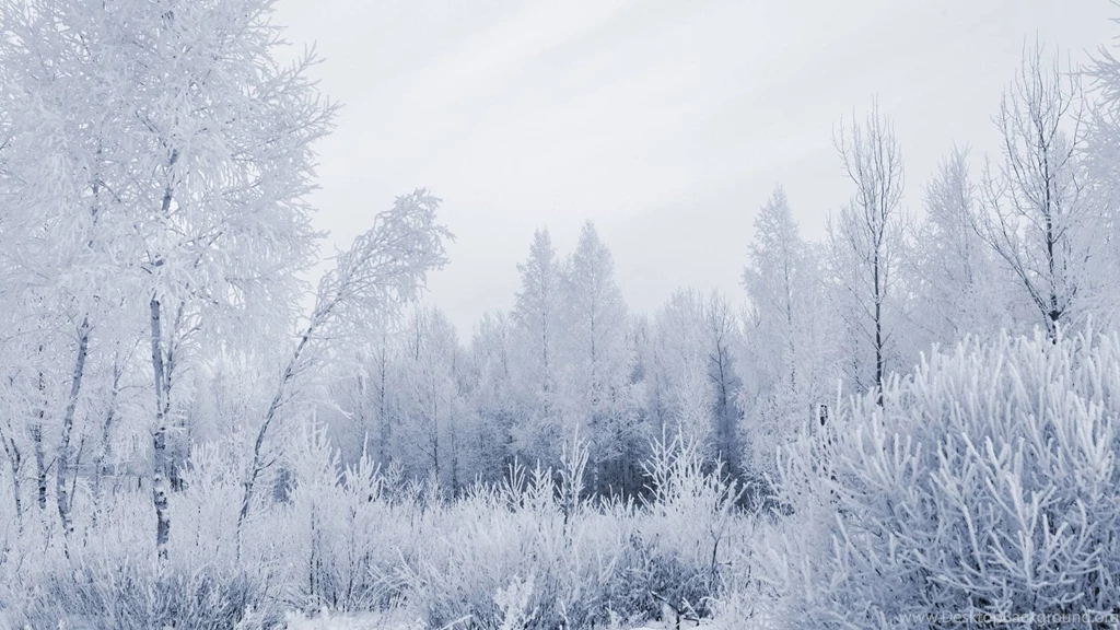 Wallpapers Snow Forest Landscapes Nature Winter Land 1920x1080 ...