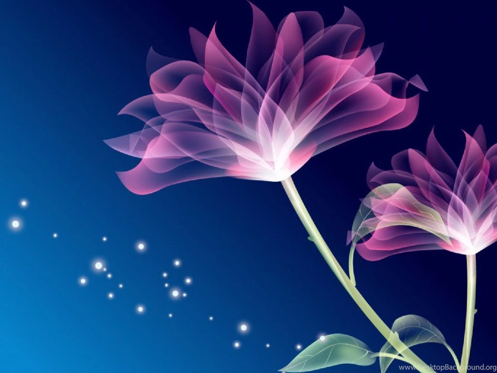 Colorful Flower Wallpapers Designs