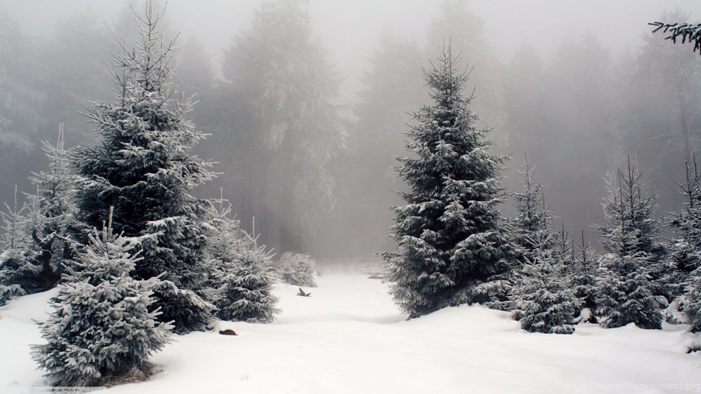 Nature, Landscape, Snow, Forest Wallpapers HD / Desktop And Mobile ...