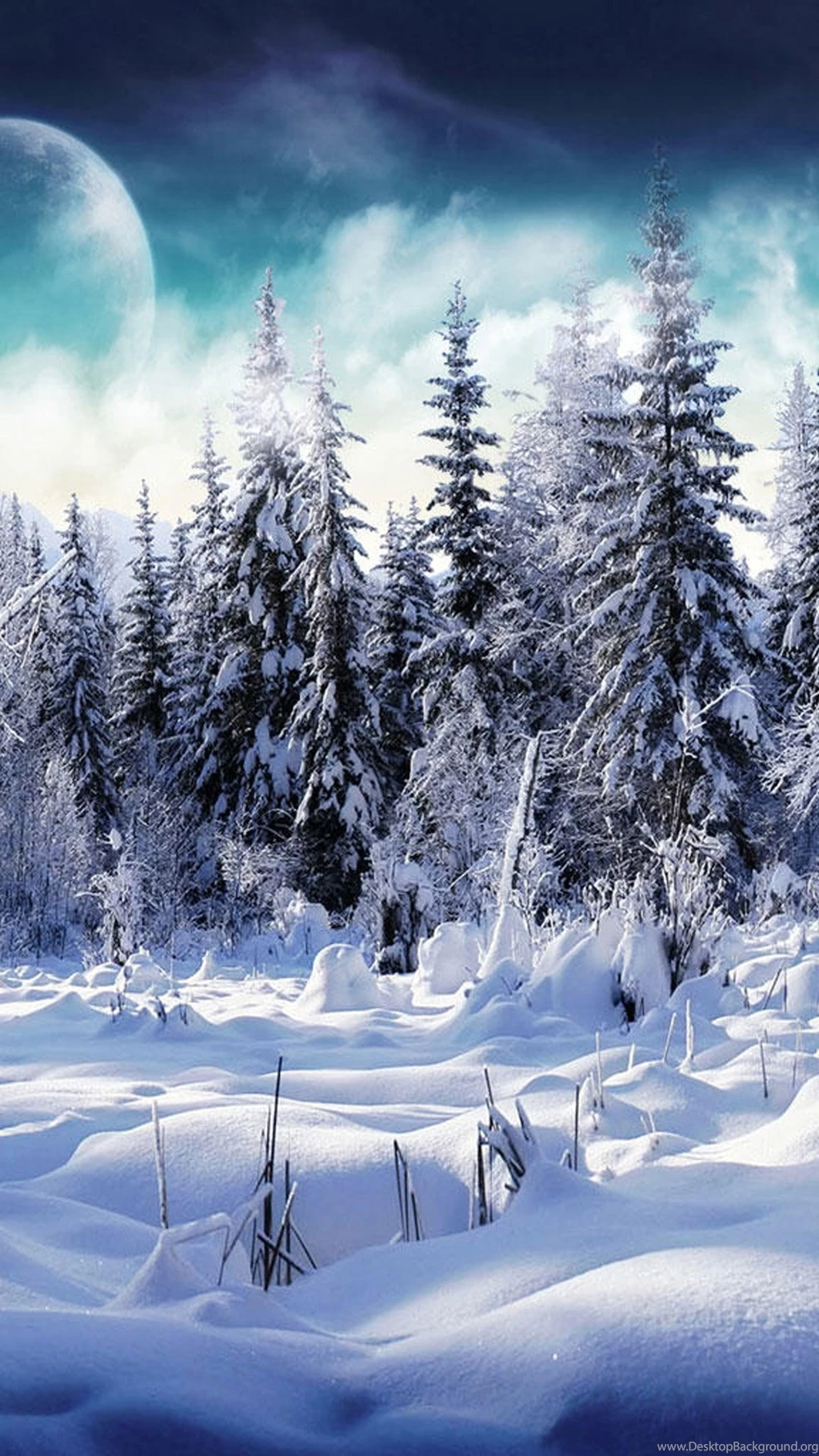 Snow Forest Galaxy S5 Wallpapers