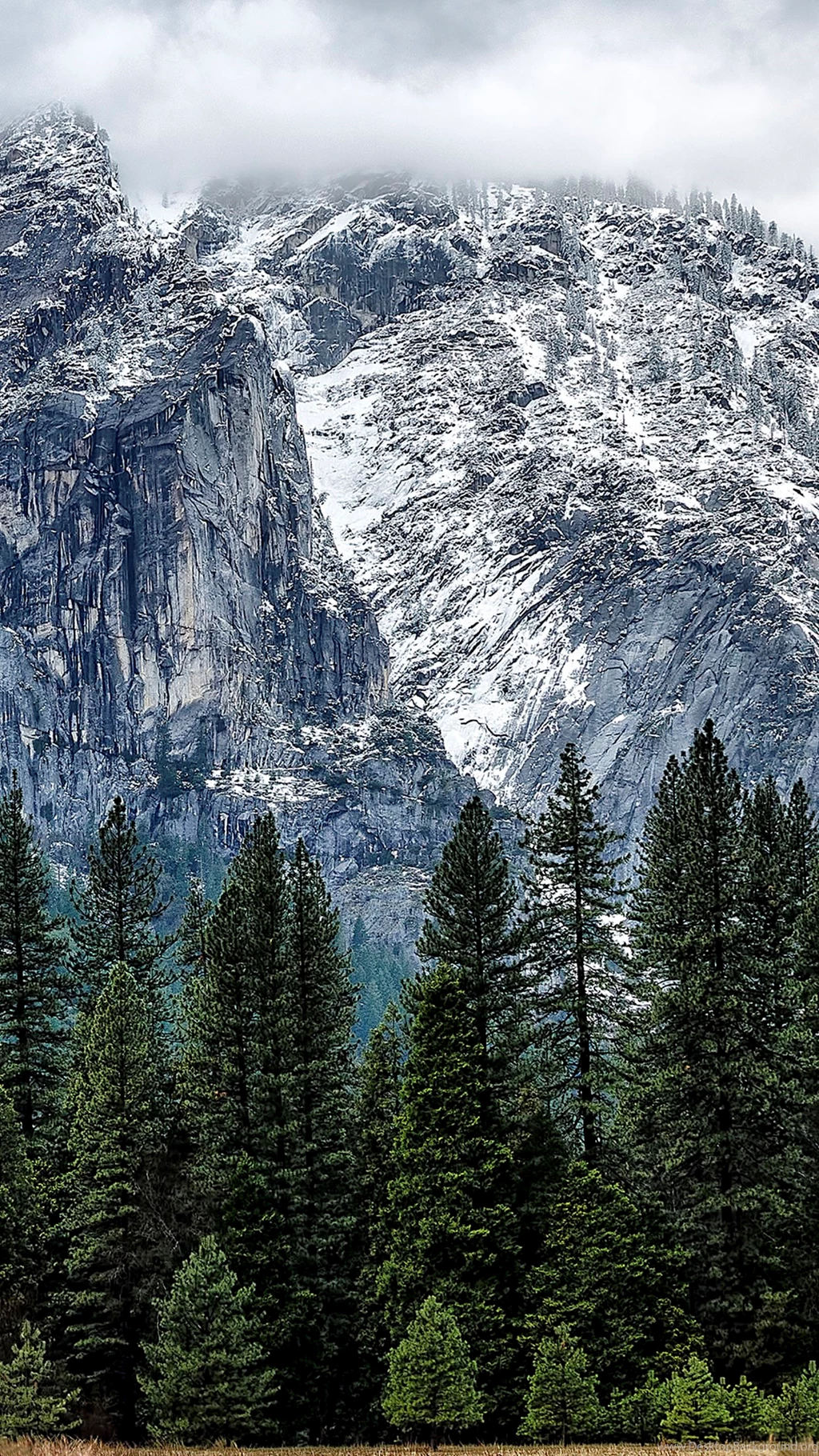 Yosemite Mountain Snow Forest Android Wallpapers Free Download