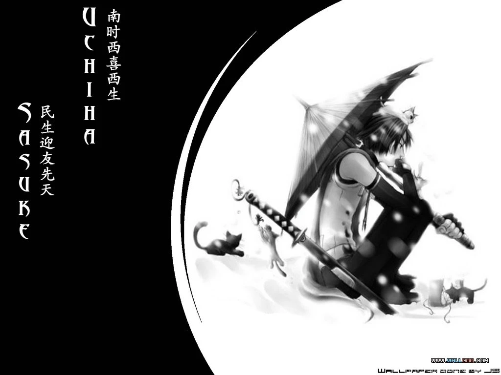 Japanese Anime Naruto Wallpapers/Pictures122 Wallcoo.net