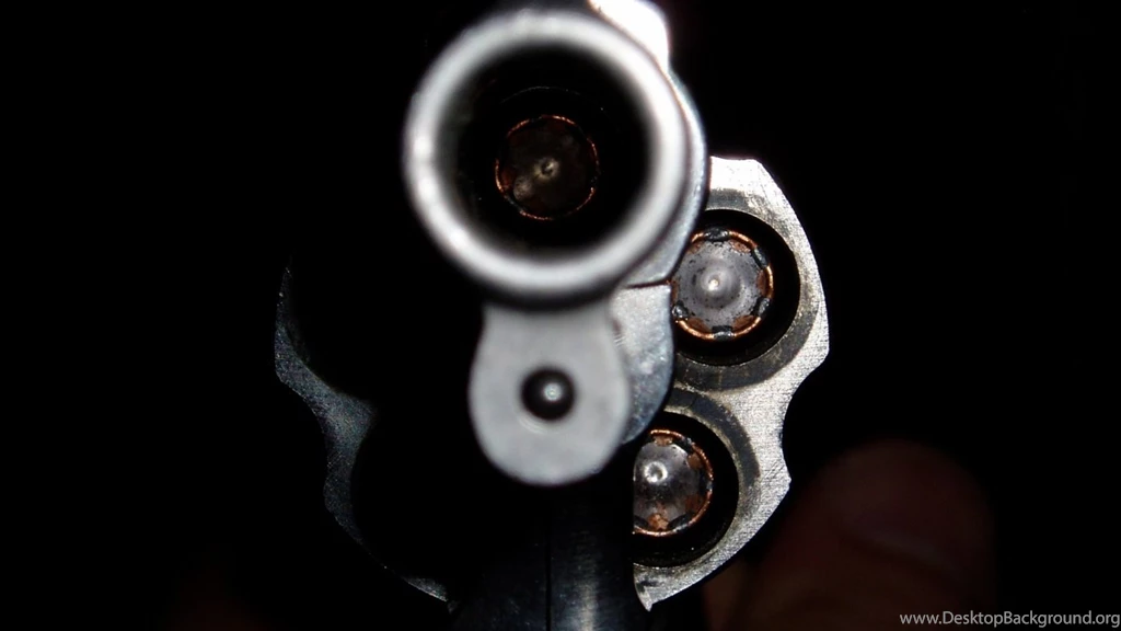 BOOM: New Study Demolishes Almost Every Gun Control Myth Girls ...