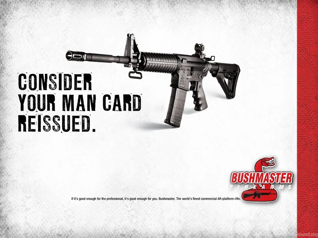 Dumb Arses And Guns... [Archive]   PPRuNe Forums