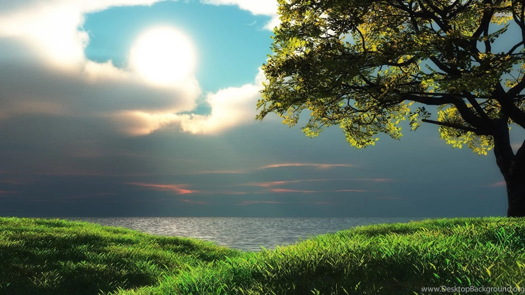 Beautiful Picture Wallpapers : Nature Wallpapers   Semrawut