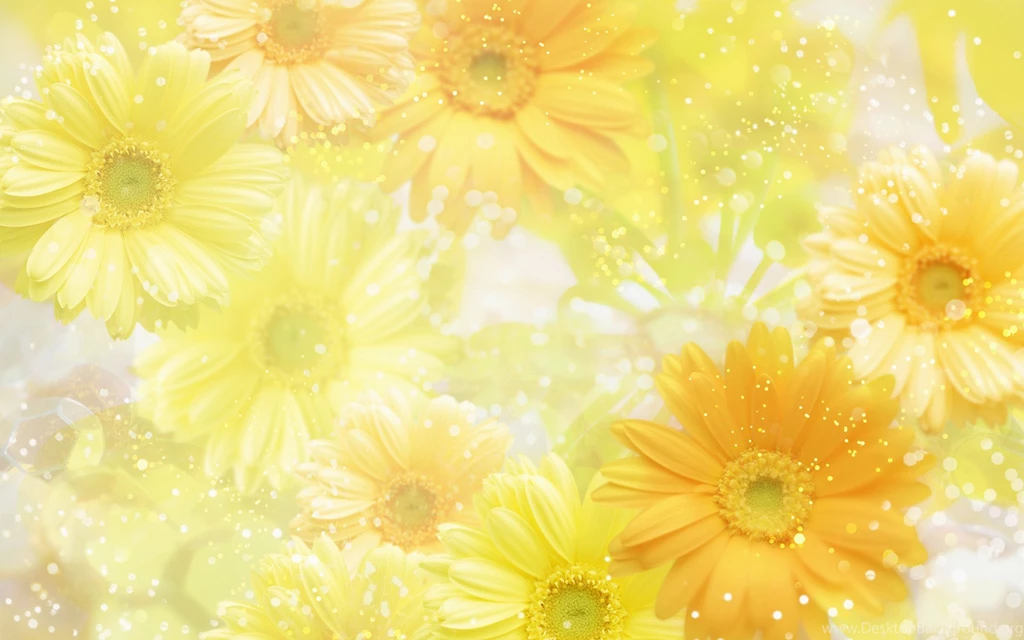 Download These 42 Yellow Wallpapers In High Definition For Free
