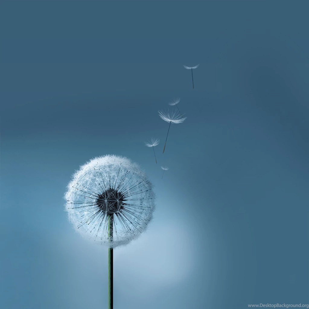Hd Wallpapers For Android Tablet 10.1