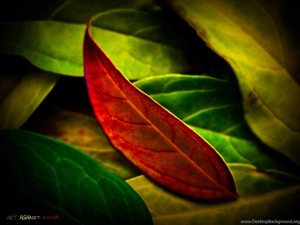 Green Yellow Wallpapers   Wallpapers HD Wide