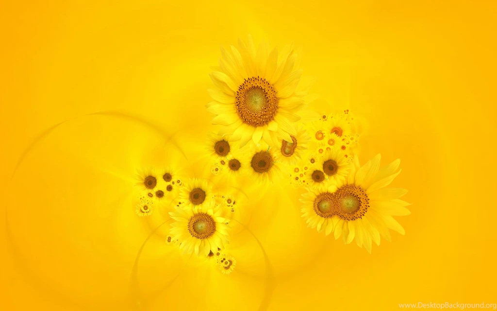 HD Wallpapers Yellow Wallpapermonkey.com