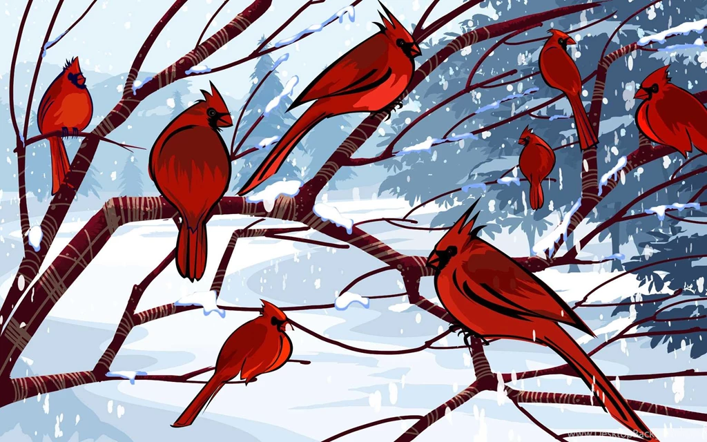 Cardinal Bird HD Wallpapers Download For Desktop & Mobile