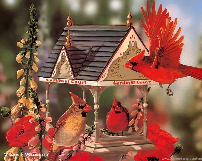 Birds Paintings : Red Cardinals And Lovely Birdhouse < FileIndex ...