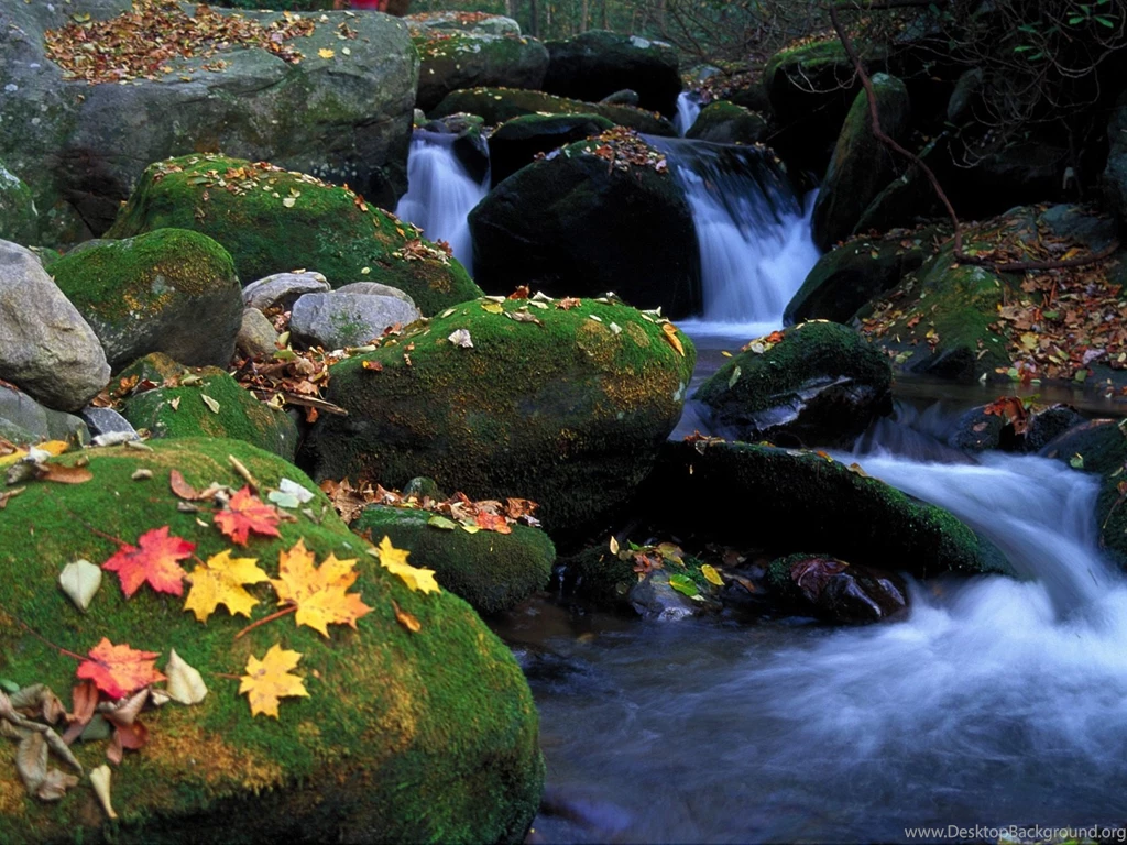 HD Nature Wallpapers « HD Wallpapers