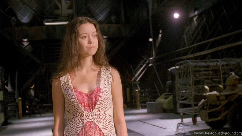 Pics Of The Firefly Set With & Without Its Inhabitants Summer ...