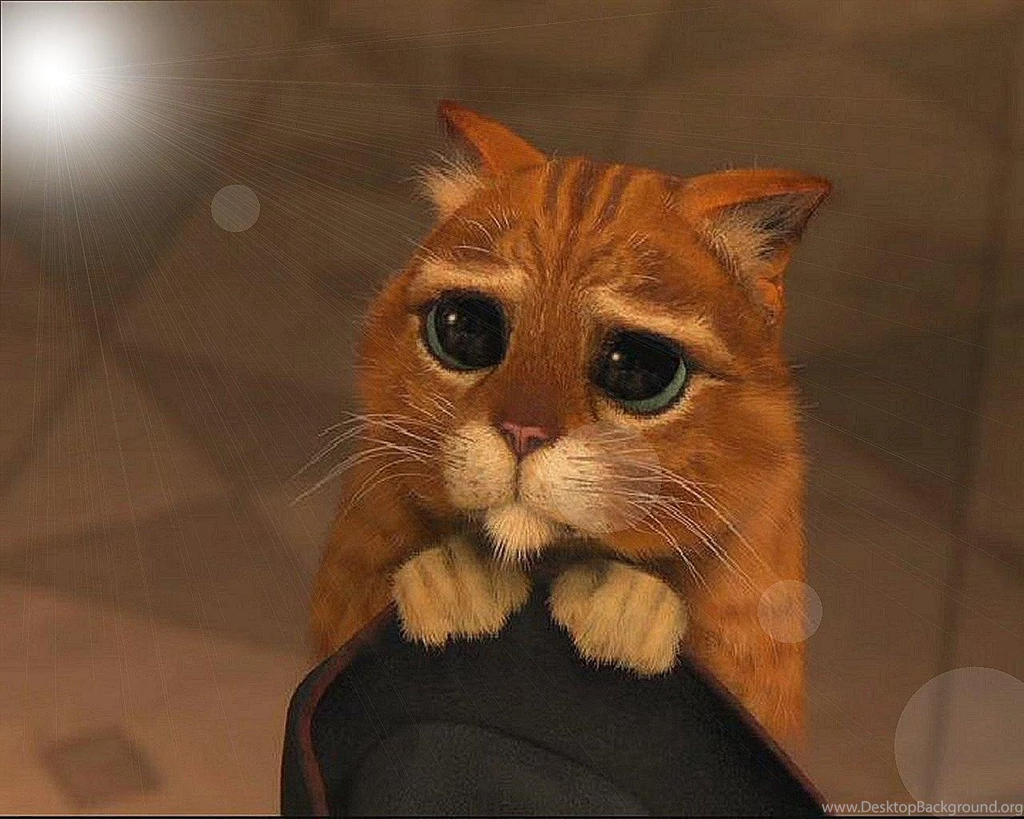 Mobil GW: Cute Cat Desktop Wallpapers