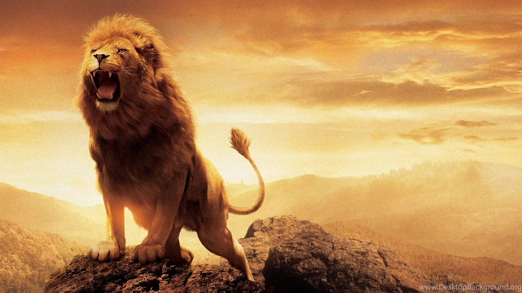 Narnia Lion Aslan Wallpapers