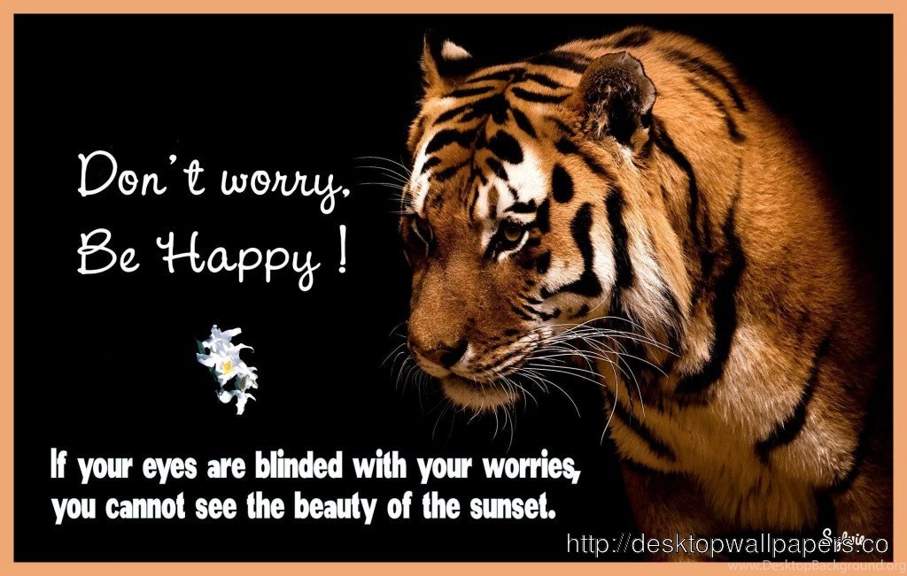 Dont Worry Be Happy WallpaperDesktop Wallpapers Free Download