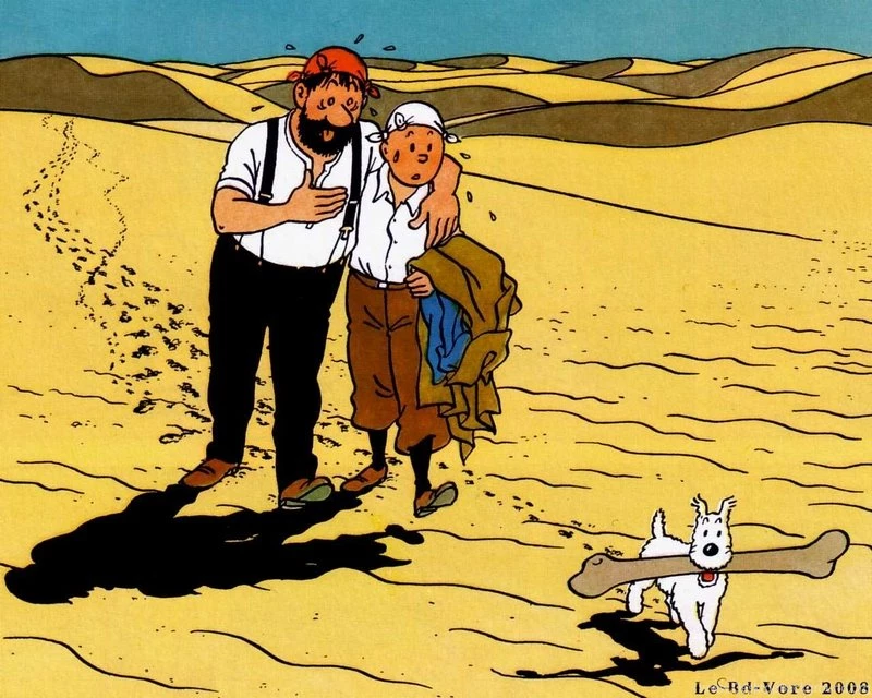 Snow Deserts Footprint Tintin Captain Haddock – Nature Deserts HD ...