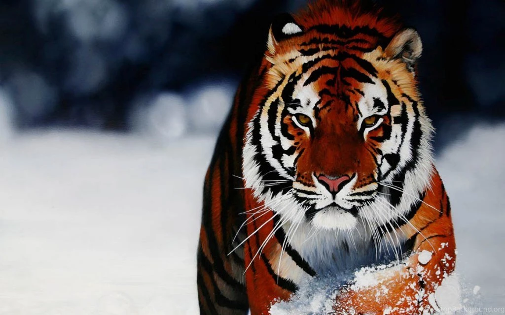 Cool Images HD Page